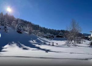 Superbe Chalet à Megève 7 pers Près des Pistes