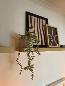 Cantinho da Avó Mifá