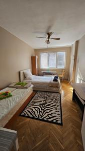 Fully Equipped Bright Apartment Close to Transport