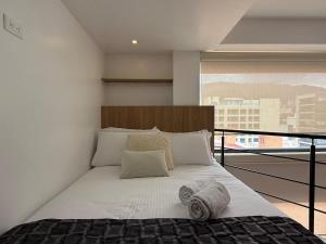 NOK Beautiful Apartment in Chico