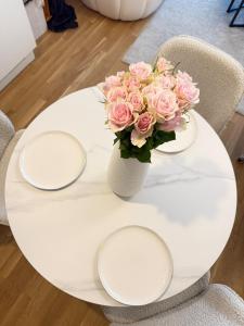 Terrace apartment near Donau