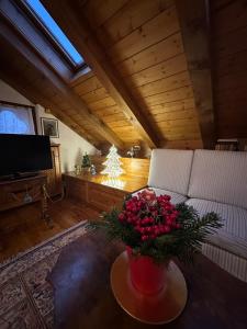 Mansarda Ca Fiori city center San Vito di Cadore