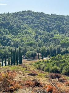 Charming Tuscan Villa Borgo Il Massera