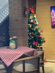 Pousada Sonho Meu - Conforto e Tranquilidade!