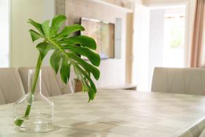 Casa com 04 dormitórios