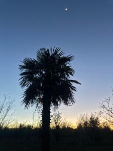 Complejo de Cabañas Quintana Cochera Cocina Wifi Smartv Aire Acondicionado