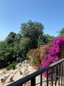 Casa Foelas The Garden Apartment