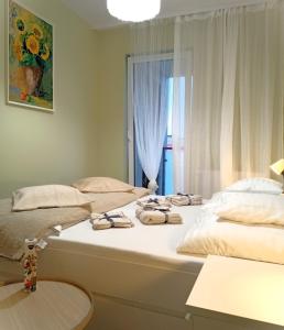 APARTAMENT "FILA" z balkonem, windą i garażem