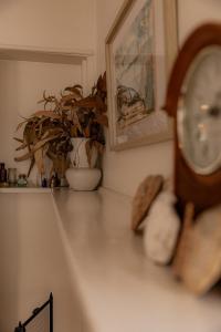 Paddys Shack - the bush spa!