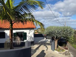 Casa Rosa
