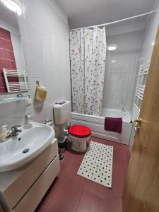 Elenas Studio Brasov