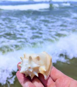 Apê Pé na areia Frente mar