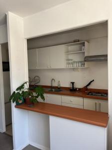 Gran departamento frente a la playa