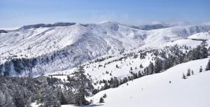 志賀 石の湯ホテル
