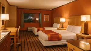 Gated 2 Double Beds Studio with Full Kitchen 106