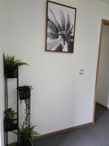 Parklands Cottage