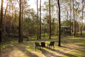 Hidden Camps Tiny House by Tiny Away