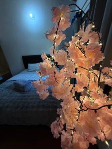 Alojamiento en el centro de Siberia Group