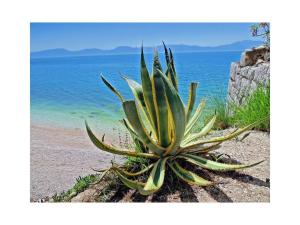 Martinovic 2 Comfortable holiday residence