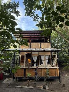 Lola Sayong Xanti Silong