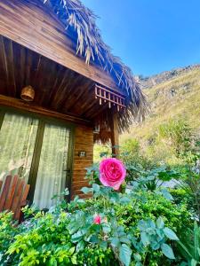 Peaceful Garden Tam Cốc