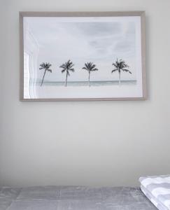 Coastal Comfort In The Heart Of Coogee