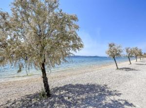 Camping Mobile Homes Bella Vita Biograd na Moru