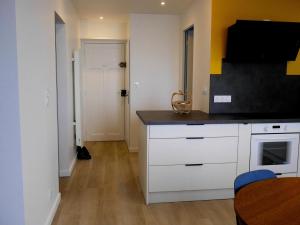 Appartement centre avec terrasse vue sur mer, animaux acceptés - FR-1-418-156