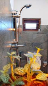 Green Park Haven Villa