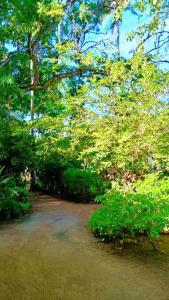 Green Park Haven Villa