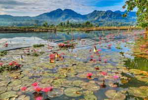 Sunrise Garden Lake Resort