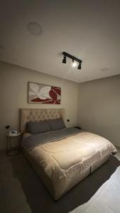 شقة غرفة وصالة