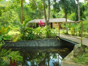 Payapa garden Nagtabon Beach