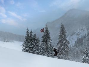 Chalet le Basset - Keys to Paradise in the Alps