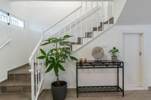 Satu Granada Modern Apartment in the Albaicín