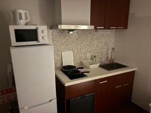 Aparthotel STATUS SUSUKINO 102