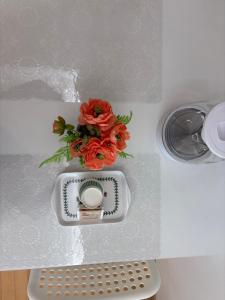 Cozy House코지하우스