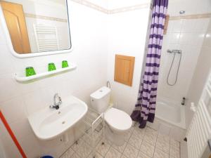 Apartment in Jachymov near Ski Lift