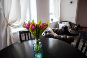 V 18 - Superior & Great views to Vokieciu street