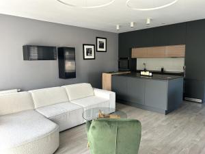 Apartment in the city center