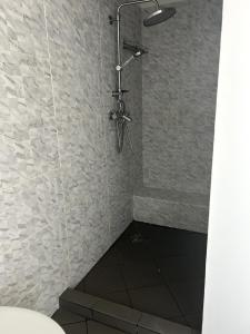 Apartment in the city center