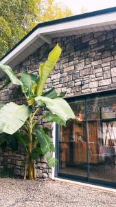 New Balturk Nature Villas