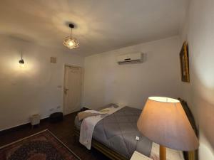 A room in the art home