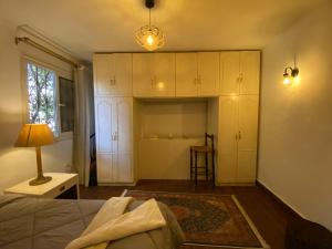 A room in the art home