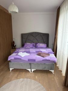 Stan na dan Pogled na reku