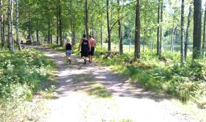 Familjestuga i natur- och fiskevårdsområdet Stora Hammarsjön
