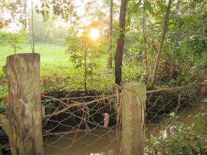 Snow Peak Hotel in Chogoria