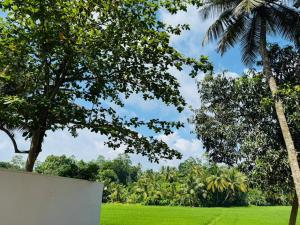 Villa Coconut Tree