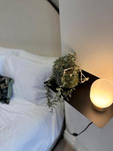 Station Bridge Collection - Flat 5