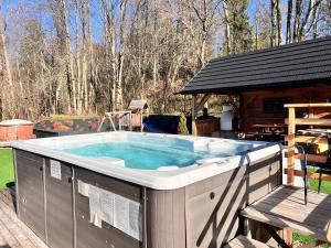 Żabie Dworki Witów Luxury Chalets & SPA